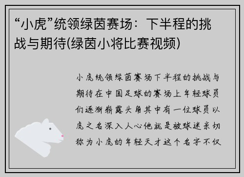 “小虎”统领绿茵赛场：下半程的挑战与期待(绿茵小将比赛视频)