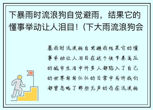 下暴雨时流浪狗自觉避雨，结果它的懂事举动让人泪目！(下大雨流浪狗会在哪躲雨)